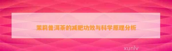 茉莉普洱茶的减肥功效与科学原理分析
