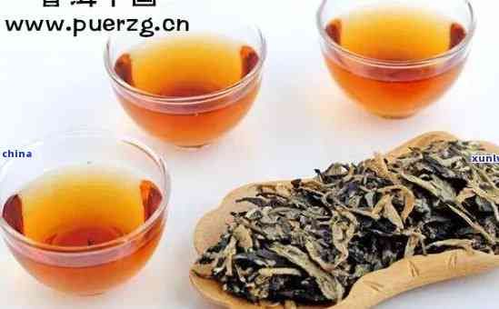 茉莉普洱茶的减肥功效与科学原理分析