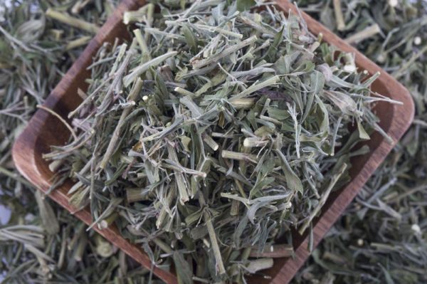 藤茶主要成分：天然草药，带来健康收益的绿色饮品