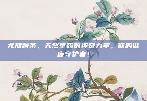 尤加利茶，天然草药的神奇力量，你的健康守护者！
