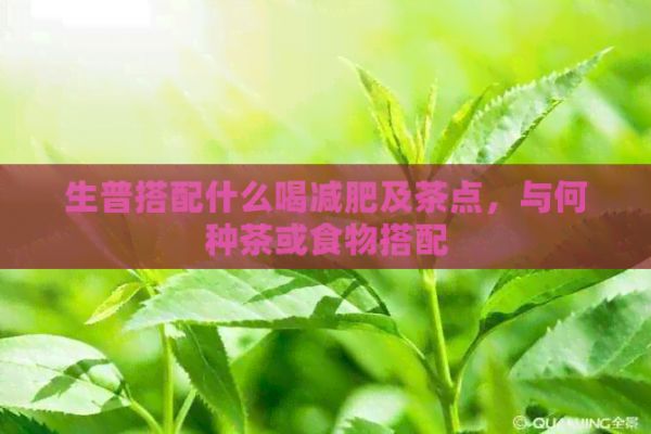 生普搭配什么喝减肥及茶点，与何种茶或食物搭配