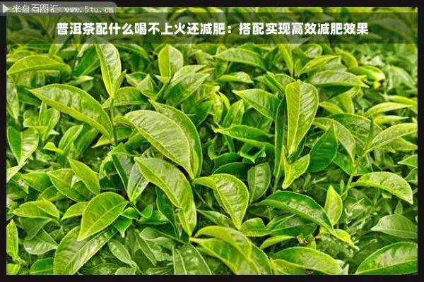普洱茶配什么喝不上火還減肥：搭配實現(xiàn)高效減肥效果