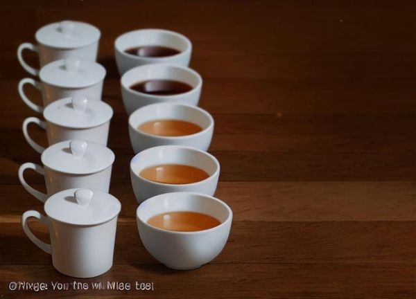 喝哪種茶能減肥？