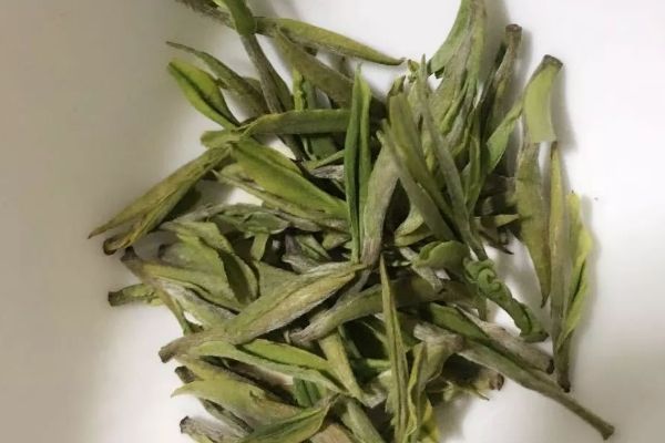 喝白茶有什么好處和壞處，白茶功效和作用及副作用