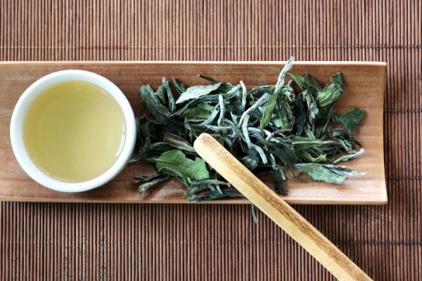 喝白茶有什么好處和壞處，白茶功效和作用及副作用