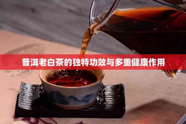 普洱老白茶的独特功效与多重健康作用
