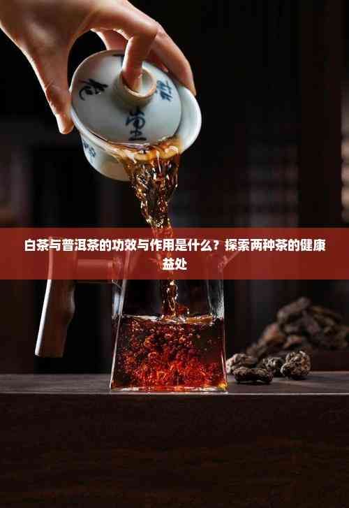 白茶与普洱茶的功效与作用是什么？探索两种茶的健康益处