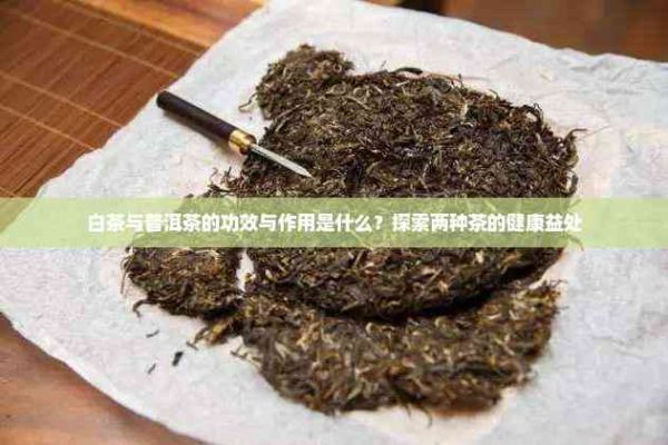 白茶与普洱茶的功效与作用是什么？探索两种茶的健康益处