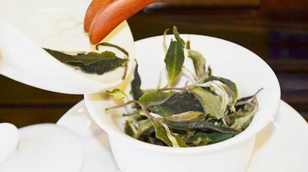 白茶的显著作用