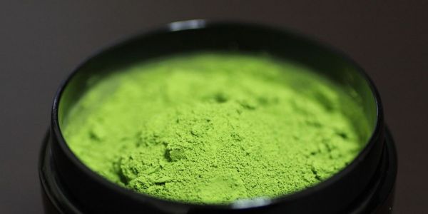 matcha in black natsume, bamboo theme