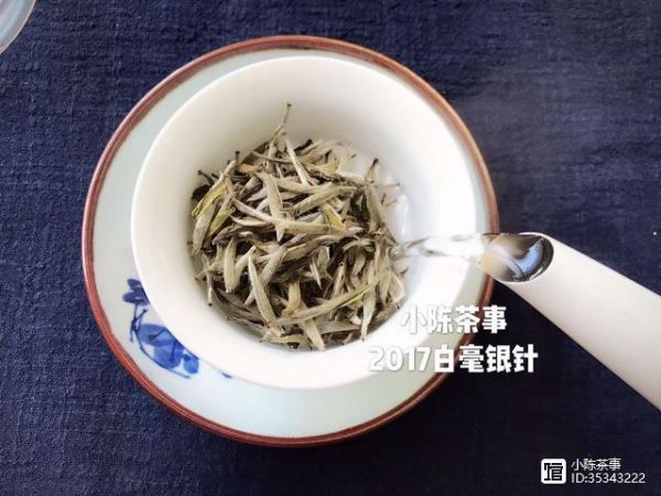 一杯白茶的6種神奇作用，冬令進(jìn)補(bǔ)不再煩惱！