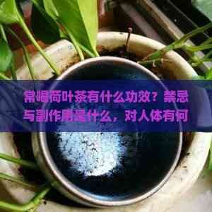 常喝荷叶茶有什么功效？禁忌与副作用是什么，对人体有何益处？