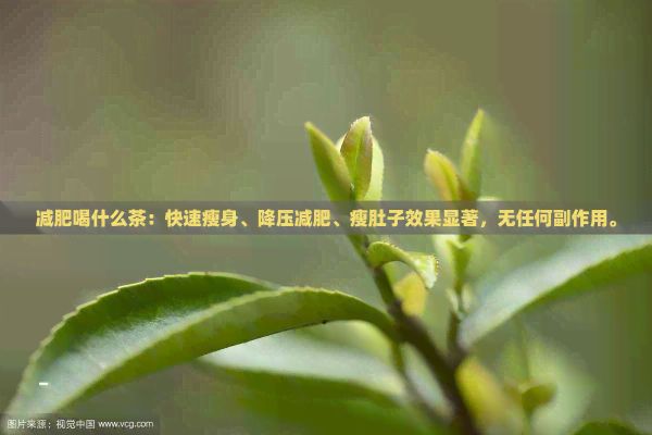 減肥喝什么茶：快速瘦身、降壓減肥、瘦肚子效果顯著，無任何副作用。