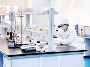 云南西草深入实施创新研发驱动战略，加快科研成果转化。