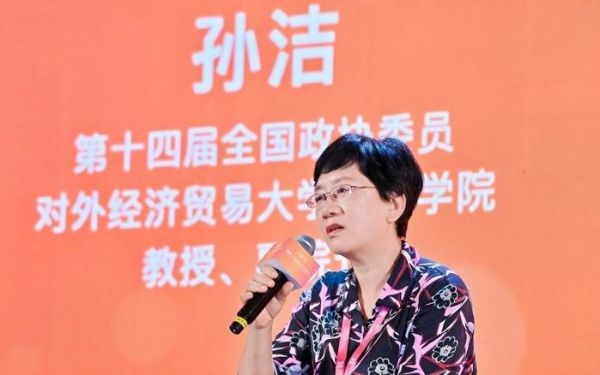 第十四届全国政协委员、对外经济贸易大学保险学院副院长孙洁教授。图/主办方供图