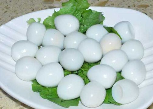 鹌鹑蛋的热量及功效与作用1