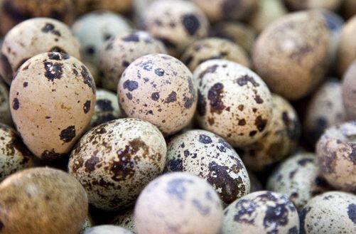鹌鹑蛋的热量及功效与作用3