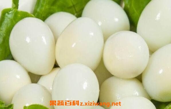 女人吃鵪鶉蛋的好處與禁忌