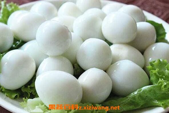 鵪鶉蛋的功效與作用 鵪鶉蛋的營(yíng)養(yǎng)價(jià)值