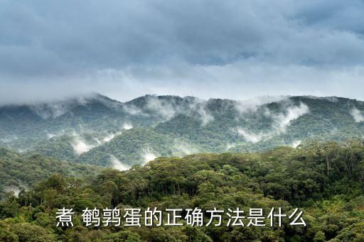 煮 鵪鶉蛋的正確方法是什么