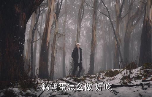  鵪鶉蛋怎么做 好吃