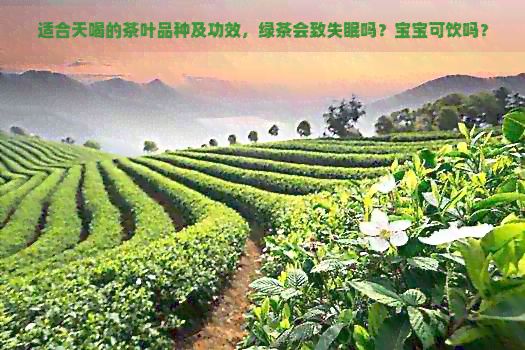 適合天喝的茶葉品種及功效，綠茶會致失眠嗎？寶寶可飲嗎？