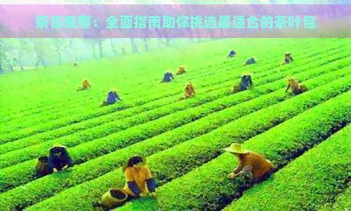茶包推薦：全面指南助你挑選最適合的茶葉包