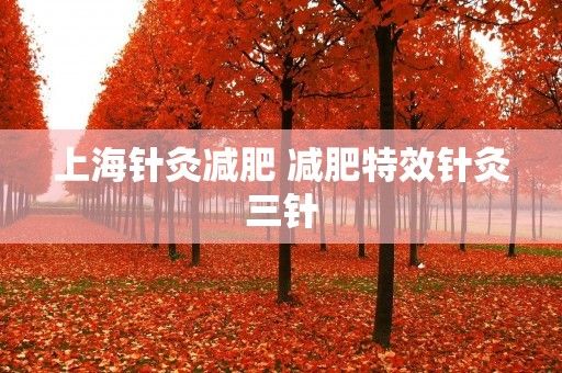 上海針灸減肥 減肥特效針灸三針