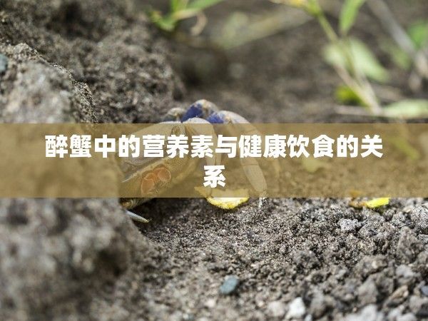 青蟹和什么水果相克？