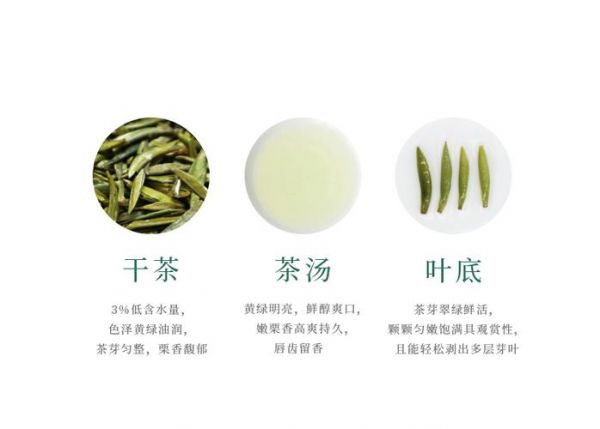 峨眉竹葉青茶：產(chǎn)地、制作工藝及功效全解析