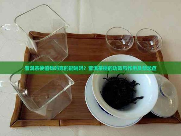 普洱茶梗值錢嗎真的能喝嗎？普洱茶梗的功效與作用及禁忌癥