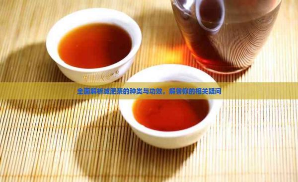 全面解析減肥茶的種類與功效，解答你的相關疑問