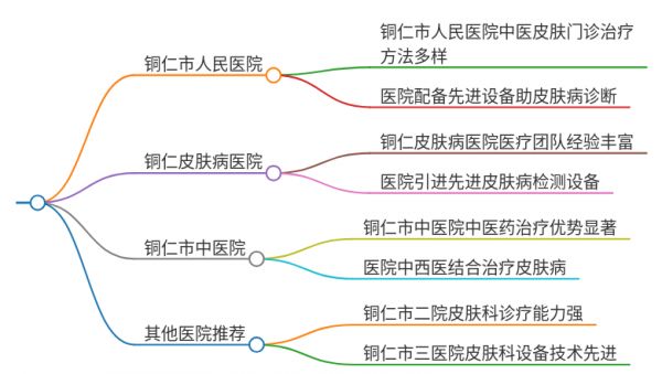 2025年貴州銅仁治療皮疹的醫(yī)院有哪些