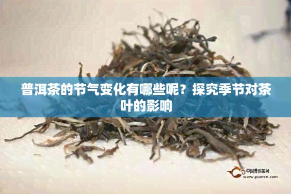 普洱茶的節(jié)氣變化有哪些呢？探究季節(jié)對(duì)茶葉的影響