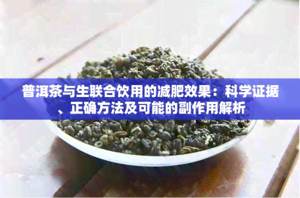普洱茶與生聯(lián)合飲用的減肥效果：科學(xué)證據(jù)、正確方法及可能的副作用解析