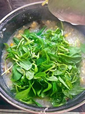 健康美味素食青菜粥的做法 步驟5