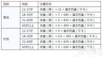 蔬菜熱量計算