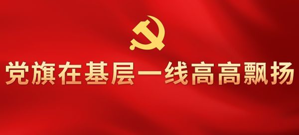 黨旗在基層一線高高飄揚(yáng)