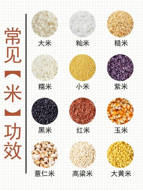 大米哪個熱量高（黑米熱量和白米熱量）