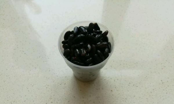 健康美味——營(yíng)養(yǎng)黑豆豆?jié){的制作方法（從選材到制作，全面解讀健康營(yíng)養(yǎng)豆?jié){的制作技巧）