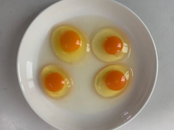 雞蛋與豆?jié){搭配早餐
