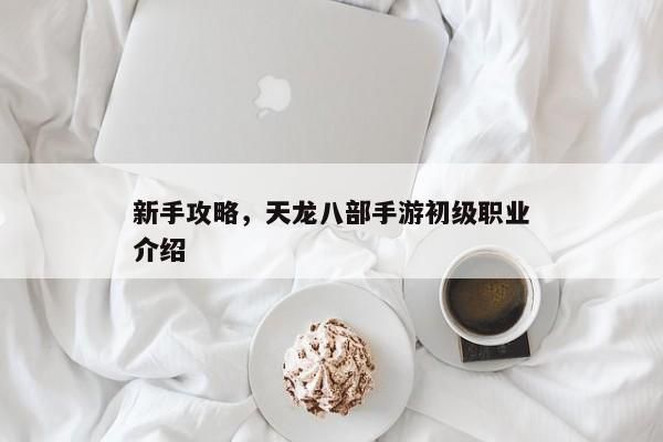 新手攻略，天龍八部手游初級職業(yè)介紹