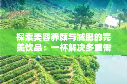 探索美容養(yǎng)顏與減肥的完美飲品：一杯解決多重需求的秘密武器