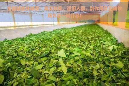 全面解密纖體茶：真實(shí)效果、適用人群、副作用及正確飲用方法一網(wǎng)打盡！