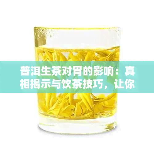普洱生茶對胃的影響：真相揭示與飲茶技巧，讓你喝得安心又健