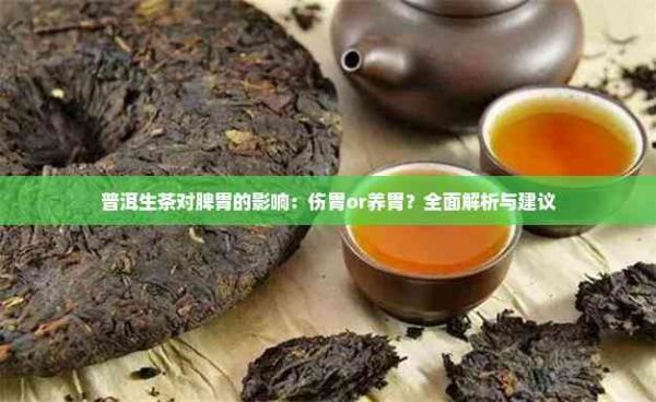 普洱生茶對脾胃的影響：傷胃or養(yǎng)胃？全面解析與建議