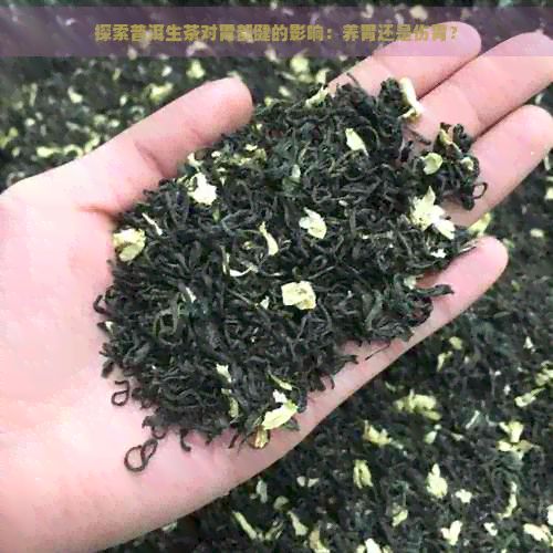探索普洱生茶對(duì)胃部健的影響：養(yǎng)胃還是傷胃？
