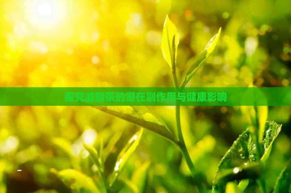 探究減脂茶的潛在副作用與健康影響