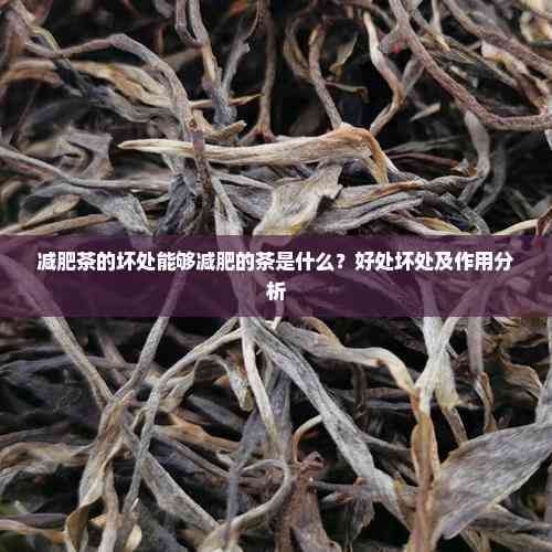 減肥茶的壞處能夠減肥的茶是什么？好處壞處及作用分析
