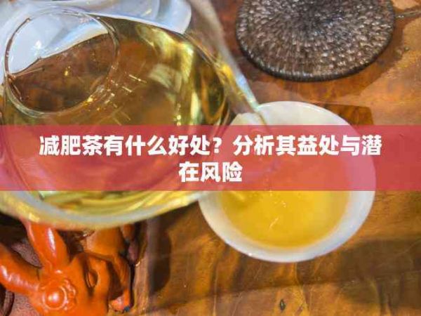 減肥茶有什么好處？分析其益處與潛在風(fēng)險